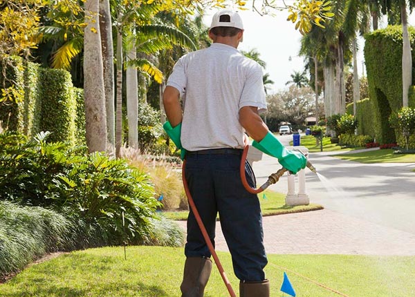About Calvary GA Pest Control Pros